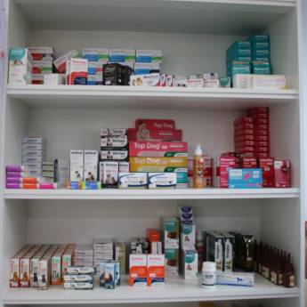 Comprar produto Farmácia Veterinária em Farmácias Veterinárias pela empresa Clinivet em São José do Rio Preto, SP