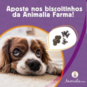 Comprar o produto de Biscoitos para cães e gatos em Medicamentos Veterinários em Jundiaí, SP por Solutudo