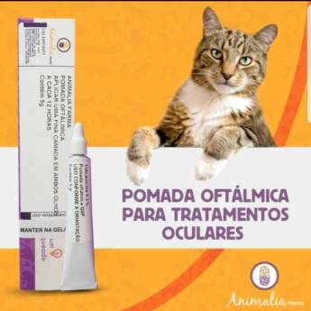 Comprar o produto de Pomada oftálmica para tratamentos oculares em Medicamentos Veterinários em Jundiaí, SP por Solutudo