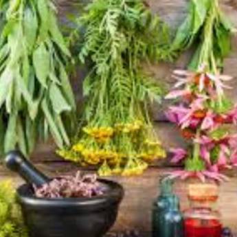 Comprar o produto de Banho Para Atrair o Amor em Bauru em SPA em Bauru, SP por Solutudo