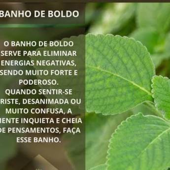 Comprar o produto de Banho Para Eliminar Energias Negativas em Bauru em SPA em Bauru, SP por Solutudo