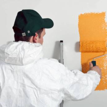 Comprar o produto de Pintor em Construtoras em Umuarama, PR por Solutudo