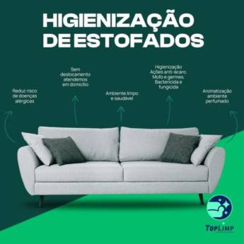 Comprar o produto de Limpeza de sofá em Higienização e Lavagem de Carpete - Tapetes - Capachos em Avaré, SP por Solutudo