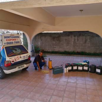 Comprar o produto de Controle de Aranhas em Dedetizadoras em São Caetano do Sul, SP por Solutudo