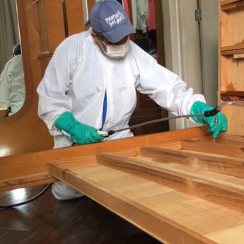 Comprar o produto de Controle de Cupins em Dedetizadoras em Santo André, SP por Solutudo