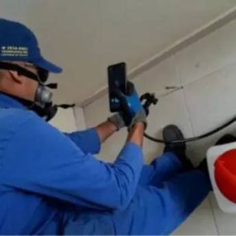 Comprar o produto de Serviço de Descupinização para Eliminar Cupins com Eficiência em Rio Claro/SP em Dedetizadoras em Rio Claro, SP por Solutudo