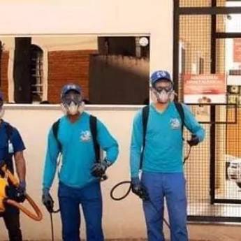 Comprar o produto de Empresa de Controle de Pragas MIP - Soluções Eficientes para o Controle de Pragas em Rio Claro/SP em Dedetizadoras em Rio Claro, SP por Solutudo