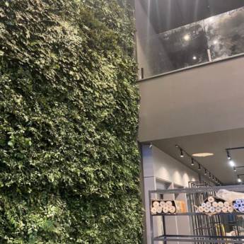 Comprar o produto de Jardim Vertical Para Empresas em Paisagismo Comercial em São Paulo, SP por Solutudo