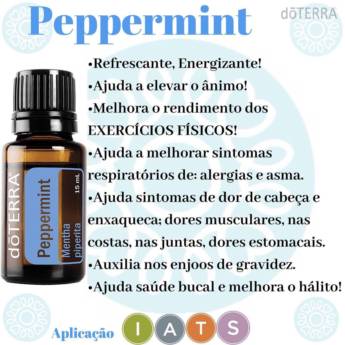 Comprar o produto de Peppermint em Óleos Essenciais em Mineiros, GO por Solutudo