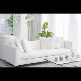 Comprar o produto de Impermeabilização de estofados em Impermeabilização em São Paulo, SP por Solutudo