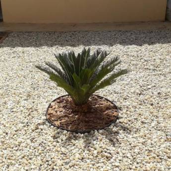 Comprar o produto de Revitalização  em Jardinagem em Botucatu, SP por Solutudo Comprar o produto de Revitalização  em Jardinagem em Botucatu, SP por Solutudo