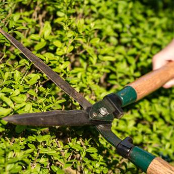 Comprar o produto de Poda  em Jardinagem em Botucatu, SP por Solutudo Comprar o produto de Poda  em Jardinagem em Botucatu, SP por Solutudo