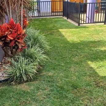 Comprar o produto de Manutenção de jardim  em Jardinagem em Botucatu, SP por Solutudo Comprar o produto de Manutenção de jardim  em Jardinagem em Botucatu, SP por Solutudo