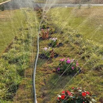 Comprar o produto de Paisagismo  em Jardinagem em Botucatu, SP por Solutudo Comprar o produto de Paisagismo  em Jardinagem em Botucatu, SP por Solutudo