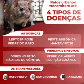 Comprar o produto de Serviço de desratização em Dedetização em Porto Seguro, BA por Solutudo