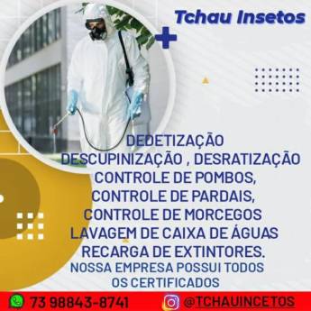 Comprar o produto de Serviços de controle integrado de pragas em Dedetizadoras em Porto Seguro, BA por Solutudo