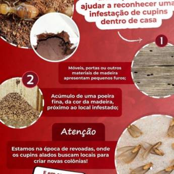 Comprar o produto de Dedetização residencial  em Dedetização em Porto Seguro, BA por Solutudo