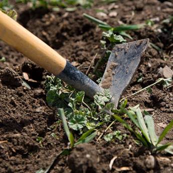 Comprar o produto de Limpeza de quintal  em Jardinagem em Botucatu, SP por Solutudo Comprar o produto de Limpeza de quintal  em Jardinagem em Botucatu, SP por Solutudo