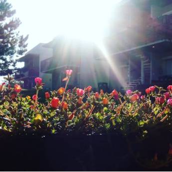 Comprar o produto de Cozinha em Aluguel - Flat - Apart Hotel em Garopaba, SC por Solutudo