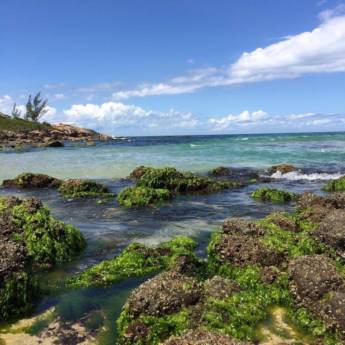 Comprar o produto de Melhor vista de garopaba em Aluguel - Flat - Apart Hotel em Garopaba, SC por Solutudo