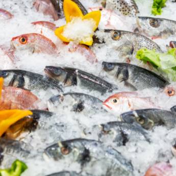 Comprar o produto de Peixaria delivery em Tonantins em Peixarias em Tonantins, AM por Solutudo