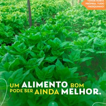 Comprar o produto de Um alimento fresquinho e de qualidade pode ser muuuito melhor!   em Ofertas em Leopoldina, MG por Solutudo