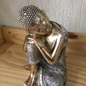 Comprar o produto de Budá  em Outros em São Carlos, SP por Solutudo