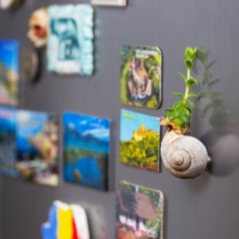 Comprar o produto de Imãs de geladeiras em Gráficas e Impressão em São Caetano do Sul, SP por Solutudo