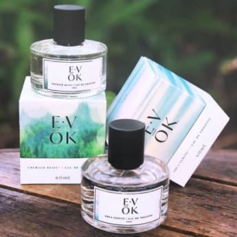Comprar o produto de E·VŌK fragrâncias em Bauru em Perfumes e Fragrâncias em Bauru, SP por Solutudo