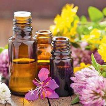 Comprar o produto de Terapia Floral em Florais em Botucatu, SP por Solutudo