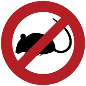 Comprar o produto de Controle de Ratos em Dedetizadoras em São Bernardo do Campo, SP por Solutudo