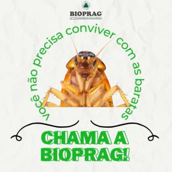 Comprar o produto de Controle de Pragas em Dedetizadoras pela empresa Dedetizadora Bioprag em São Manuel, SP por Solutudo