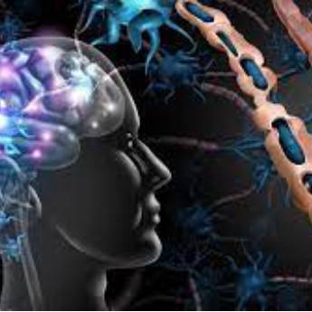 Comprar o produto de Esclerose Múltipla em Neurologia em Botucatu, SP por Solutudo