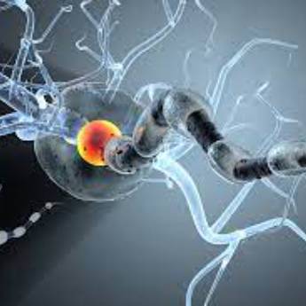 Comprar o produto de Doenças Desmielinizantes em Neurologia em Botucatu, SP por Solutudo