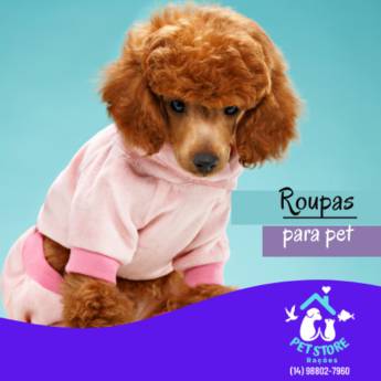 Comprar o produto de Roupas para pet em Pet Shop em Avaré, SP por Solutudo