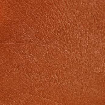 Comprar o produto de Higienização e hidratação de couro em Higienização e Lavagem de Carpete - Tapetes - Capachos em Rio de Janeiro, RJ por Solutudo