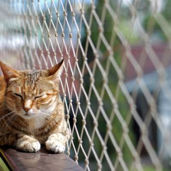 Comprar o produto de Tela de proteção para apartamento  em Telas para Alambrado em João Pessoa, PB por Solutudo