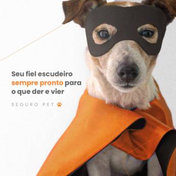 Comprar o produto de Seguro pet em Seguros de Vida - Planos de Saúde para Animais em Ribeirão Preto, SP por Solutudo