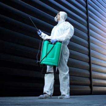 Comprar o produto de Dedetização de empresas em Desentupidoras em Pato Branco, PR por Solutudo