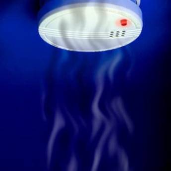 Comprar o produto de Profissionais em dedetização em Desentupidoras em Pato Branco, PR por Solutudo