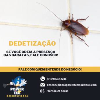 Comprar o produto de Detetização de ambiente em Desentupidoras em Contagem, MG por Solutudo