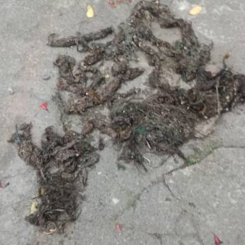 Comprar o produto de Remoção de resíduos em Desentupidoras em São Sebastião, SP por Solutudo