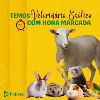 Comprar produto Veterinário de Animais Exóticos em Clínicas Veterinárias pela empresa Polivet  em Botucatu, SP