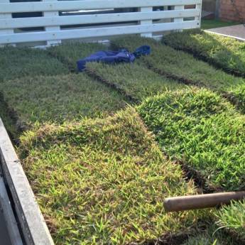 Comprar o produto de Gramas em Jardinagem em Barreirinhas, MA por Solutudo