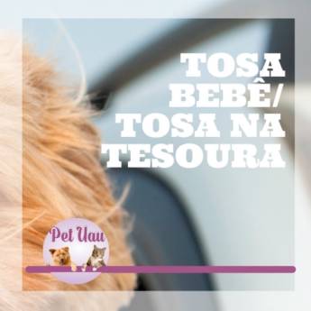 Comprar o produto de Tosa na Tesoura  em Pet Shop em Botucatu, SP por Solutudo