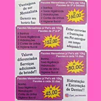 Comprar o produto de Pacotes Banho e Tosa  em Pet Shop em Botucatu, SP por Solutudo