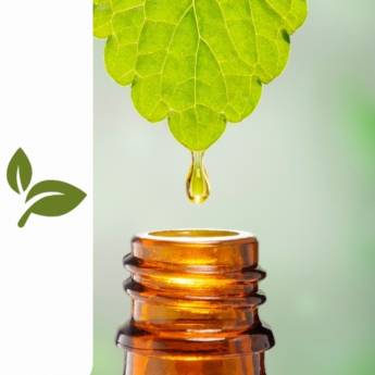 Comprar o produto de Homeopatia em Produtos Naturais em Botucatu, SP por Solutudo