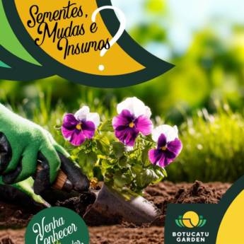 Comprar o produto de Sementes e Mudas em Floriculturas em Botucatu, SP por Solutudo