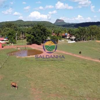 Comprar o produto de Especialista em imobiliária em Imobiliárias - Corretores de Imóveis em Campo Grande, MS por Solutudo