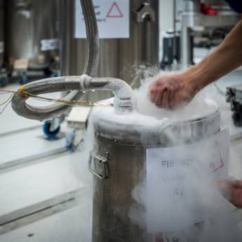 Comprar o produto de Abastecimento de nitrogênio líquido em Agricultura e Agropecuária em Garça, SP por Solutudo